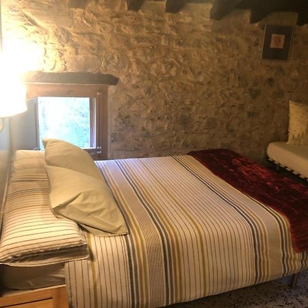 Mas Molladar Solo Adultos Guest House Camprodon Eksteriør bilde