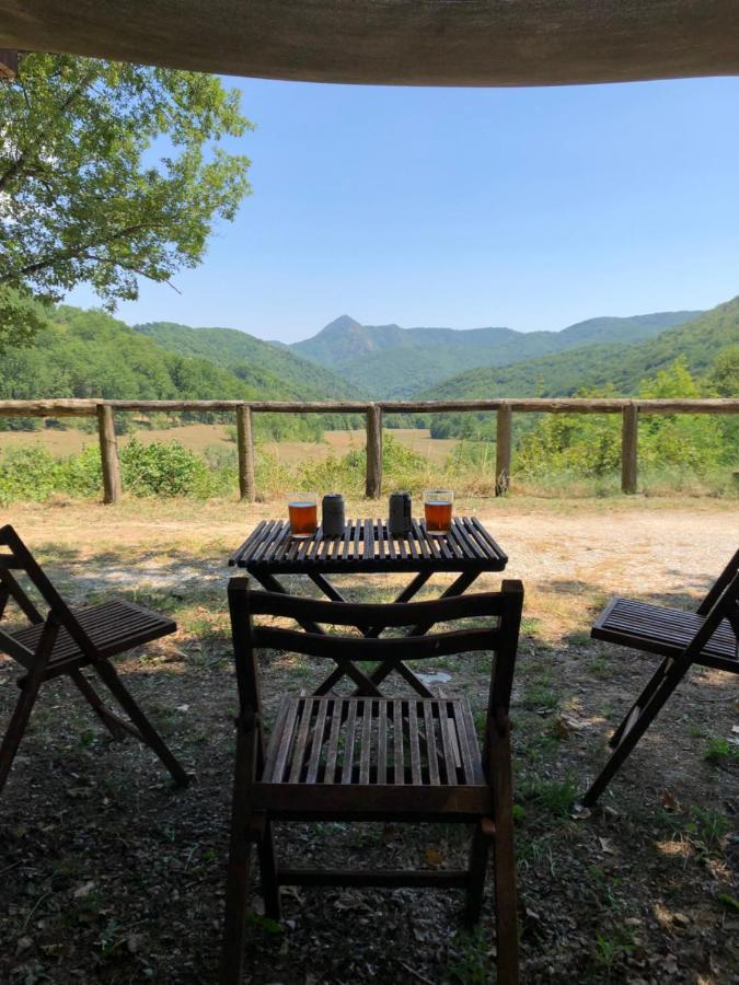 Mas Molladar Solo Adultos Guest House Camprodon Eksteriør bilde
