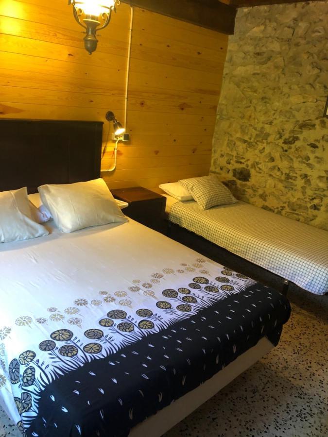 Mas Molladar Solo Adultos Guest House Camprodon Eksteriør bilde